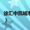 徐汇中凯城市之光户型图（徐汇中凯城市之光）