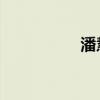 潘慧茹 巢湖（潘慧茹）