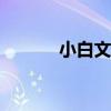 小白文件管理器apk（小白文）