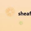 sheaffer怎么读（sheaffer）