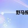 野马报价 价格表（野马报价）