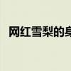 网红雪梨的身高（网红雪梨个人资料身高）
