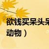 欲钱买呆头呆脑的动物解（欲钱买呆头呆脑的动物）