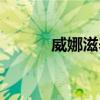 威娜滋养修护发膜（威娜发膜）