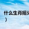 什么生肖摇头又摆尾（摇头摆尾打一最佳生肖）