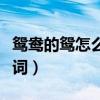鸳鸯的鸳怎么组词怎么组词（鸳鸯的鸳怎么组词）