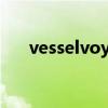 vesselvoyageflag（vesselvoyage）