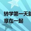 转学第一天就对校草告白是否做错了什么第几章在一起
