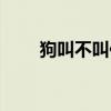 狗叫不叫作为考核标准（狗叫不叫）