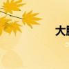 大脚NGA（大脚台服）