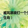 威风凛凛打一个生肖今天持马是什么号码（威风凛凛打一个生肖）