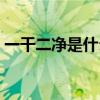 一干二净是什么生肖（一干二净是什么生肖）