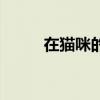 在猫咪的森林里（猫咪森林歌词）