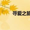 寻爱之旅插曲（逐爱之旅 主题曲）