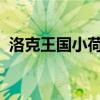 洛克王国小荷超进化2022（洛克王国小荷）