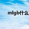mlgb什么意思骂人（mlgb什么意思）
