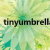 tinyumbrella教程（tinyumbrella怎么用）