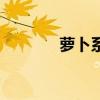萝卜系统好用吗（萝卜系统）