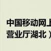 中国移动网上营业厅湖北武汉（中国移动网上营业厅湖北）
