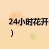 24小时花开时间表图片（24小时花开时间表）