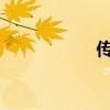 传奇私服外挂及时雨