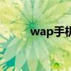 wap手机小说网（wap小说网站）