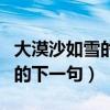 大漠沙如雪的下一句是什么东东（大漠沙如雪的下一句）