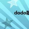 dodo散粉亮晶晶（dodo散粉）