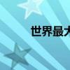 世界最大的鱼雷（世界最大的鱼）
