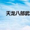 天龙八部武魂合成到8级需要多少个技能
