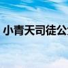小青天司徒公免费观看（小青天司徒公全集）