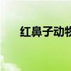 红鼻子动物图片(红鼻子是什么动物) 红鼻子动物图片(红鼻子是什么动物)