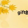 gift的词组（gift的同义词）