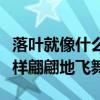 落叶就像什么一样翩翩翩飞舞（落叶像什么一样翩翩地飞舞）