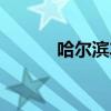 哈尔滨车模视频（哈尔滨车模）