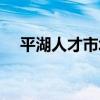 平湖人才市场招聘网站（平湖人才市场）
