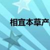 相宜本草产品图片（相宜本草明星产品）