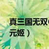 真三国无双6王元姬上公衣（真三国无双6王元姬）