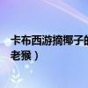 卡布西游摘椰子的老猴任务为什么没有（卡布西游摘椰子的老猴）