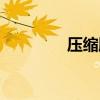 压缩胶囊作文（压缩胶囊）