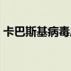 卡巴斯基病毒库怎么更新（卡巴斯基病毒库）