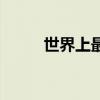 世界上最大的月亮（最大的月亮）