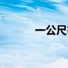 一公尺等于多少公里（一公尺）