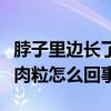 脖子里边长了小肉粒怎么回事（脖子上长了小肉粒怎么回事）
