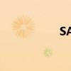 SAO什么（sao妹妹）