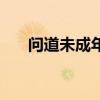 问道未成年有防沉迷吗（问道防沉迷）