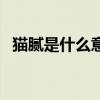 猫腻是什么意思反义词（猫腻是什么意思）