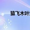 猿飞木叶丸vs佩恩（木叶丸vs佩恩）