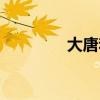 大唐李泰简介（大唐李泰）