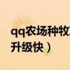 qq农场种牧草能快速升级吗（qq牧场养什么升级快）